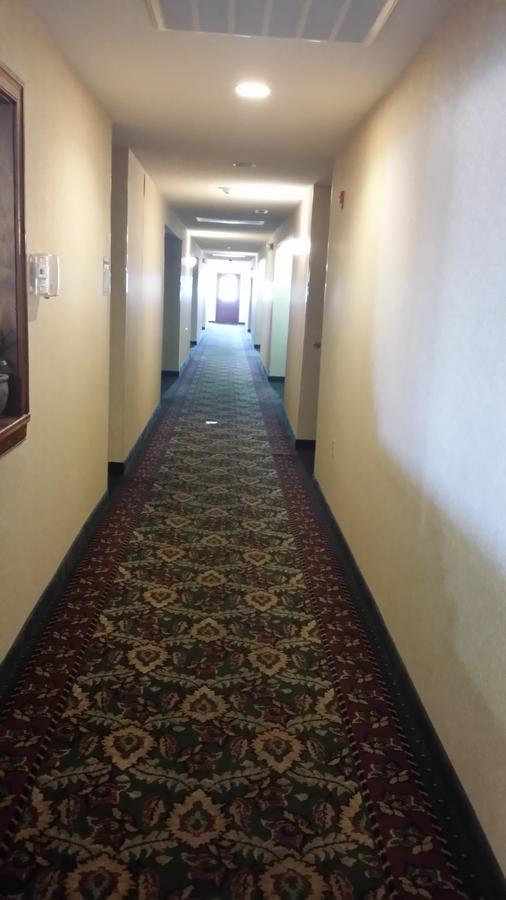 Scotland Neck Inn Экстерьер фото